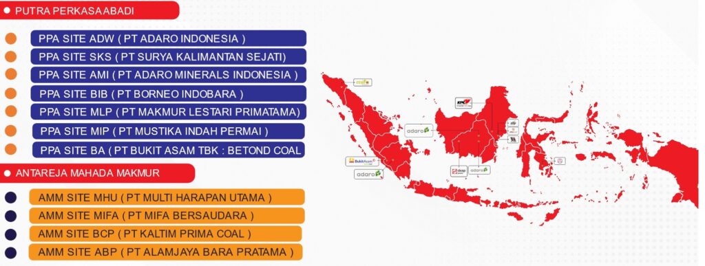 PPA&AMM